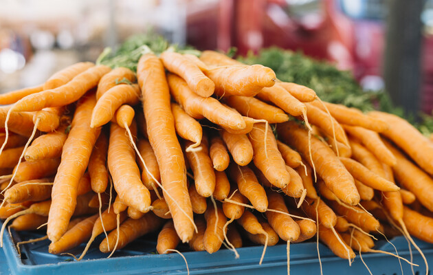 Вдвое дешевле, чем в прошлом году: в Украине снизилась цена на морковь