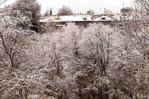 Дыхание зимы: синоптики назвали дату, когда выпадет снег