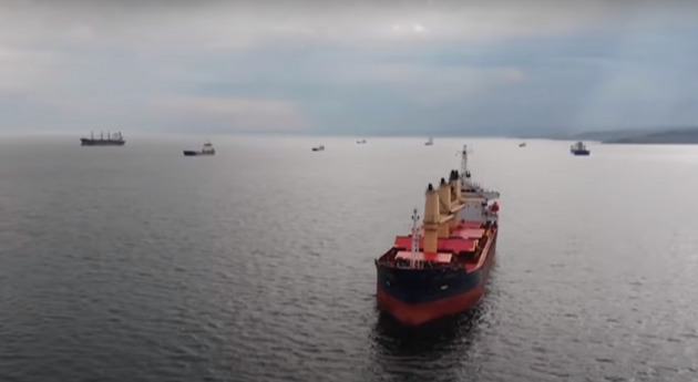 Из портов Большой Одессы временным черноморским коридором вышли два судна