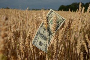 Растрата зерна на 3,2 млн грн: будут судить предполагаемого организатора схемы