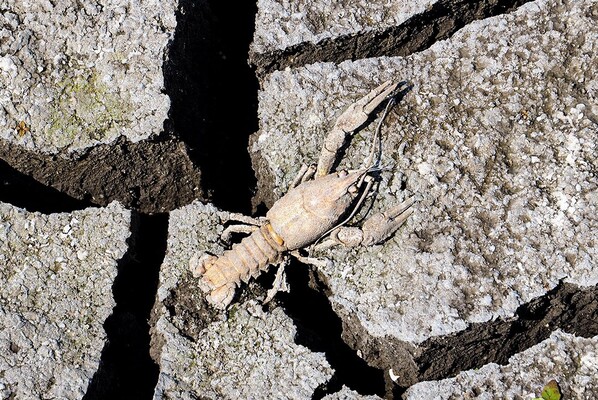 Последствия подрыва Каховской ГЭС для водохранилища