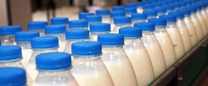 Молочные предприятия требуют заложить средства в госбюджет-2024 во исполнение решения СНБО о продовольственной безопасности
