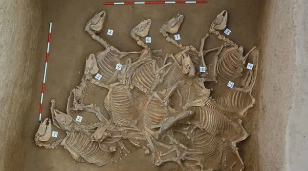 Археологи нашли в Китае жертвенные ямы со скелетами 120 лошадей