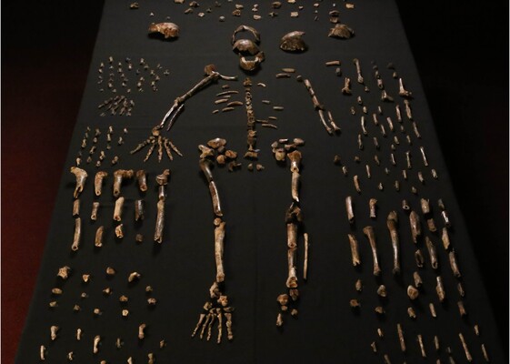 Homo naledi ховали своїх покійних