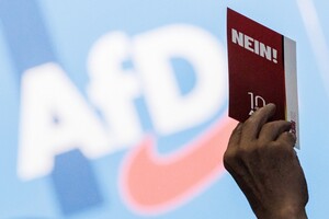 Германия признала экстремистской региональную ячейку партии AfD