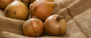 В Україні подорожчала цибуля: скільки вона коштує