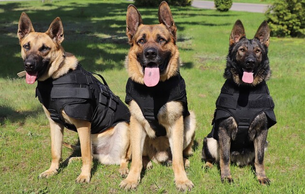 Ілюстрація