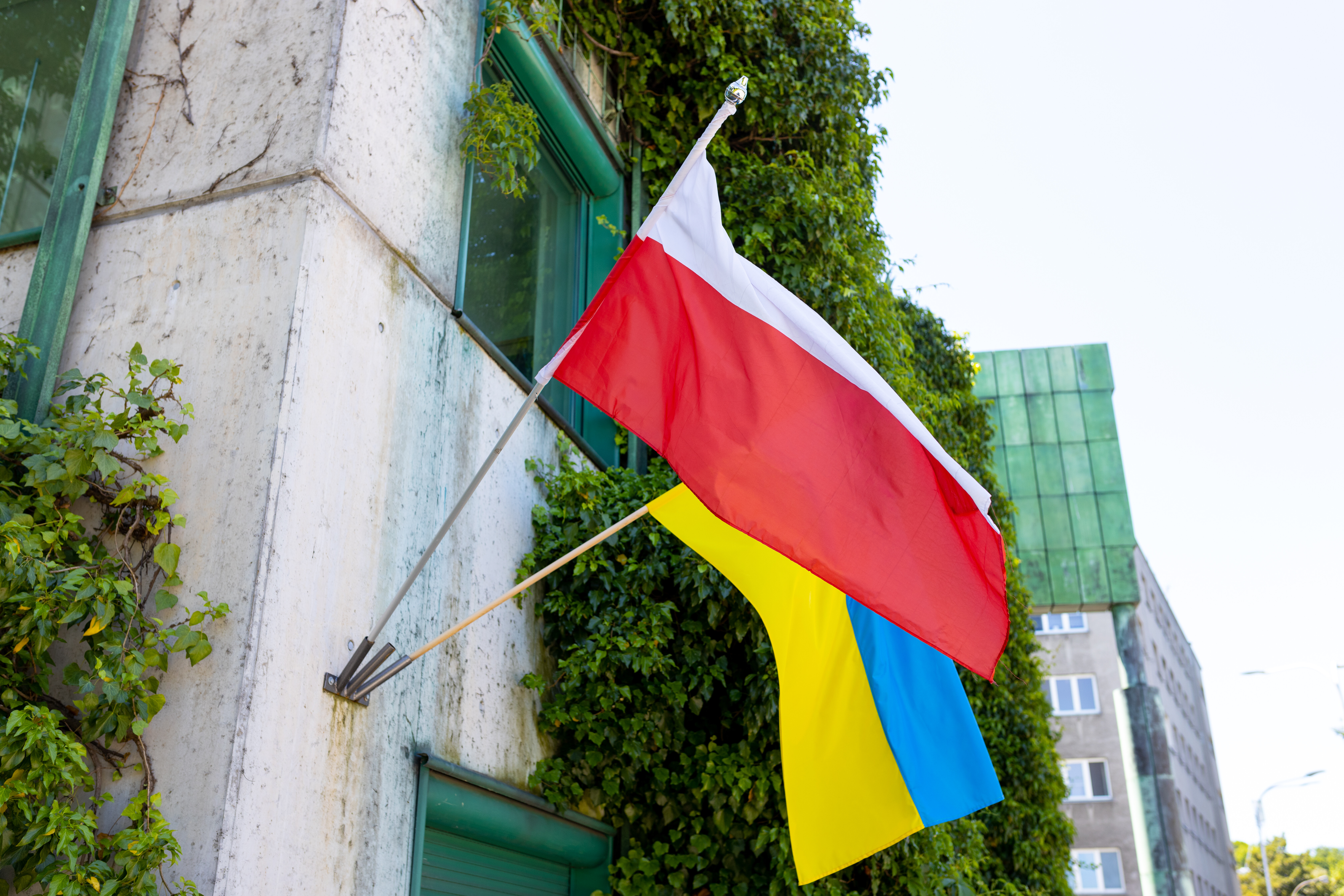 Украинцы в Польше: посол рассказал, что будет со льготами для них в 2024 году