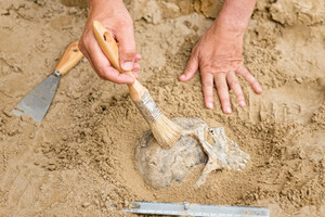 Археологи нашли скелет с протезом возрастом 600 лет