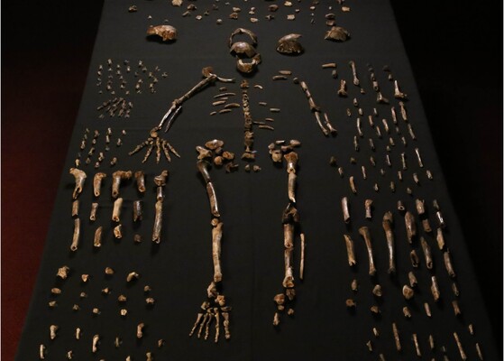Ученые сомневаются, что Homo naledi хоронили умерших сородичей