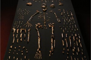 Вчені засумнівалися у тому, що найдавніше поховання у світі створили не люди