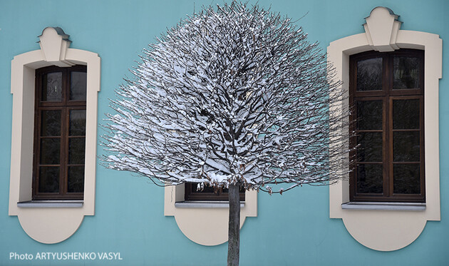 Київ і область, як прогнозують, сьогодні трохи притрусить снігом