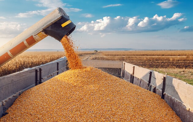 «Чорний» експорт зерна з України сягає понад 20% – БЕБ