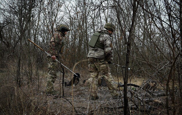 Сдетонировал найденный в лесу элемент снаряда: в Запорожской области погиб мужчина
