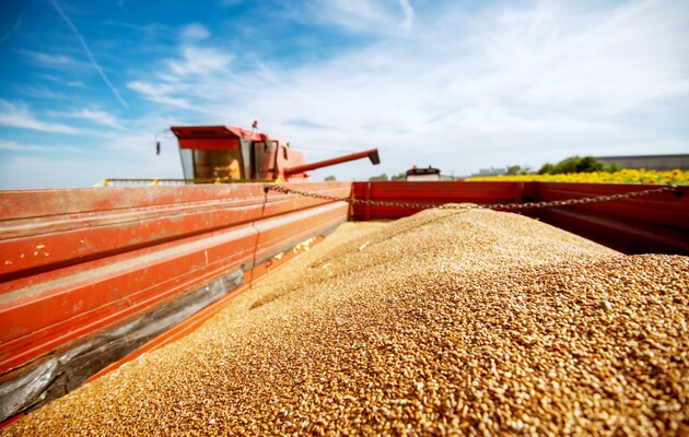 Экспорт украинского зерна упал почти на 30%