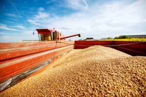 Экспорт украинского зерна упал почти на 30%