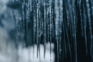Теплый декабрь: синоптики рассказали, каким будет начало зимы