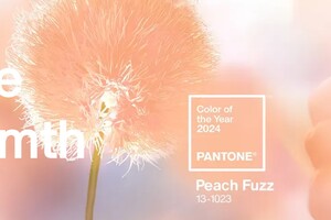 Pantone назвав головний колір 2024 року