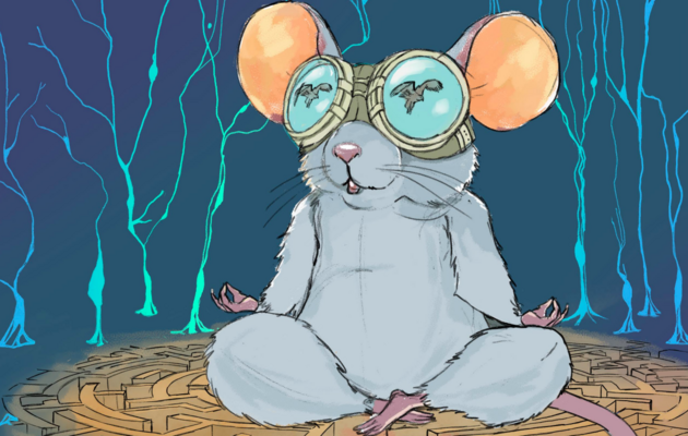 Для лабораторних мишей розробили VR-окуляри
