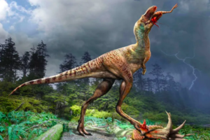 Що їли динозаври: залишки їжі вперше виявлено в скам'янілості тиранозавра