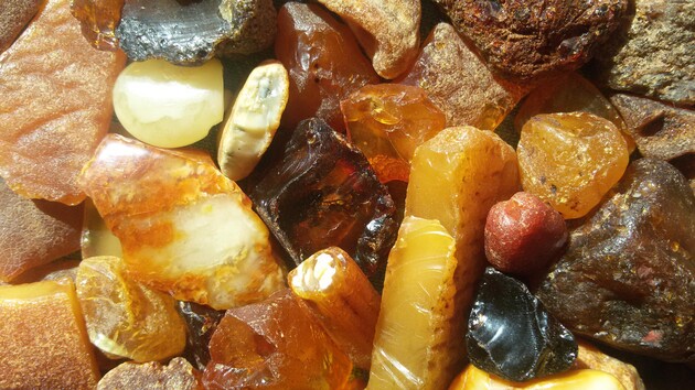 В Ровенской области разоблачена группа нелегальных копателей - изъято более 100 кг янтаря
