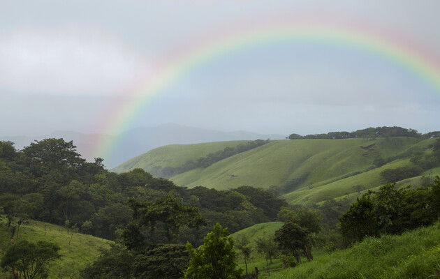 Права природы могут закрепить в конституции Ирландии