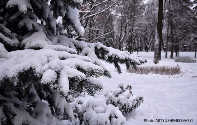 Вчені розповіли, чи існують однакові сніжинки