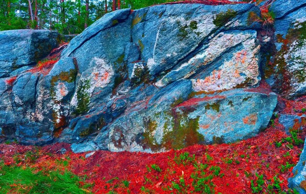 Вчені вважають, що древні люди ампутували пальці