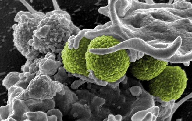 Ученые разработали антибиотик для борьбы с устойчивыми к лекарствам бактериями
