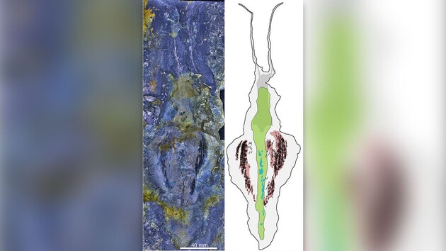 Древний червь был самым опасным хищником своих времен