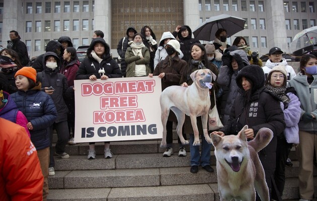 У Південній Кореї на рівні закону заборонили вживати собаче м'ясо