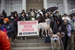 У Південній Кореї на рівні закону заборонили вживати собаче м'ясо