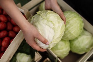 Ціни на овочі: в Україні подешевшала капуста
