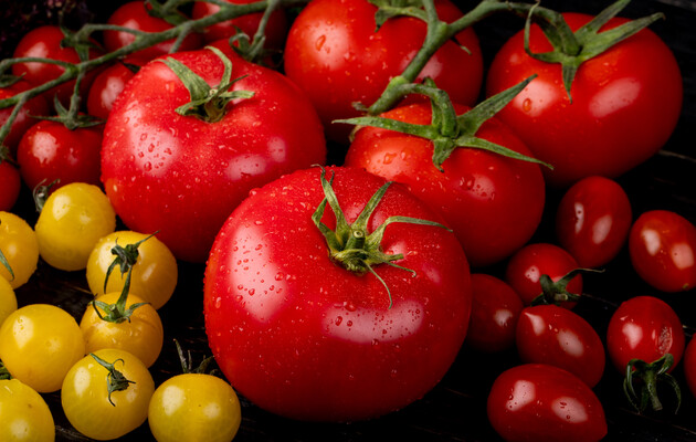 Цены на овощи: в Украине подешевели помидоры