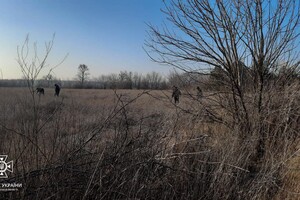 У Миколаївській області четверо людей підірвалися на міні: є загиблий
