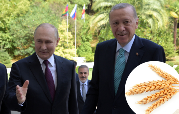 Путин и Эрдоган намерены обсудить «новый механизм экспорта» украинского зерна – заявление главы МИД Турции