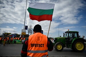 Схема перерваного транзиту зерна: Болгарія поділиться з Україною списком компаній-порушників