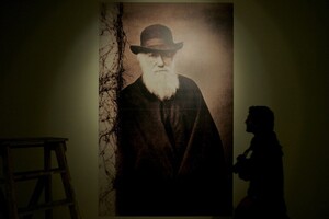 Ученые воссоздали личную библиотеку Чарльза Дарвина: она теперь доступна онлайн