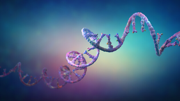 «Безопаснее, чем CRISPR/Cas9»: в США проводят клинические испытания редакторов РНК 