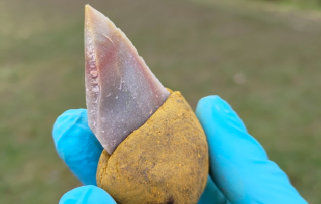 Неандертальский каменный инструмент, вклеенный в рукоять из жидкого битума с добавлением 55% охры. Конструкция после застывания не липнет к рукам и удобна в обращении.