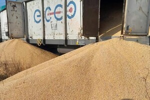 В Польше высыпали кукурузу из 8 украинских вагонов, следовавших транзитом