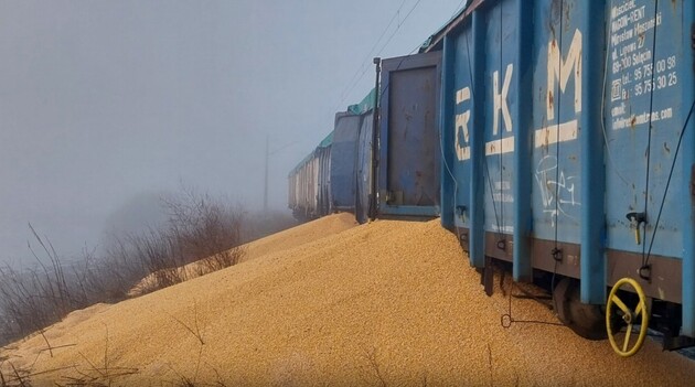 30 тонн української кукурудзи, що висипали на залізниці – що з нею зроблять в Польщі