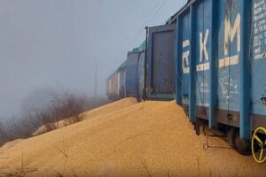 30 тонн української кукурудзи, що висипали на залізниці – що з нею зроблять в Польщі