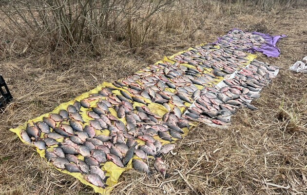 Пограничники Черниговского отряда и Киевский рыбоохранный патруль обнаружили браконьеров с уловом карасей и красноперок