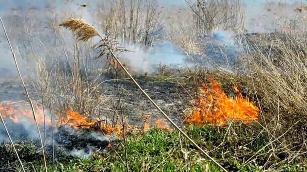 У Чернігівській області росіяни застосовують безпілотники із запальною сумішшю – ДПСУ