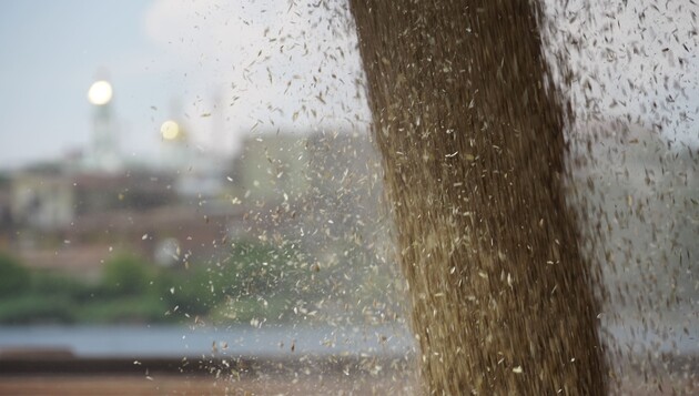 Зерно завантажують на судно в російському порту Ростов-на-Дону