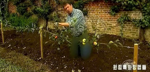 Северокорейское телевидение заблюрило джинсы британского ведущего шоу о садоводстве