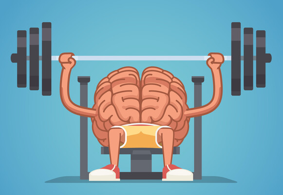 Размер мозга человека увеличивается каждое десятилетие