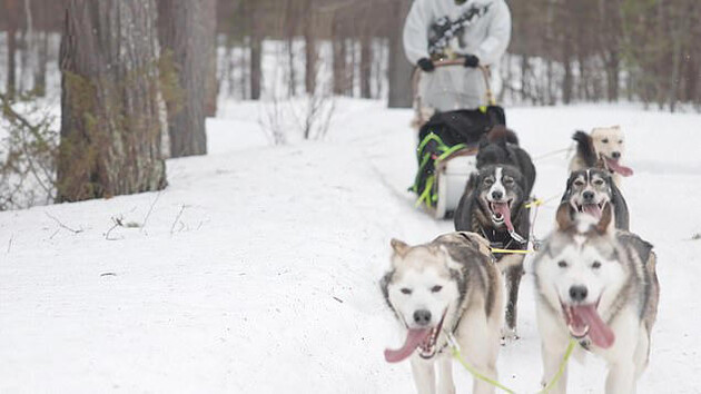 Фото - Daily Mail