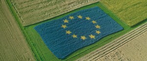 Что тормозит вступление Украины в ЕС сейчас: названы три составляющие